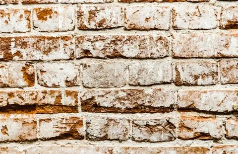 Cypress wall texture pattern red cypress blocks, close-up, old dilapidated wall. Stock Photos