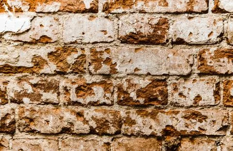 Cypress wall texture pattern red cypress blocks, close-up, old dilapidated wall. Stock Photos