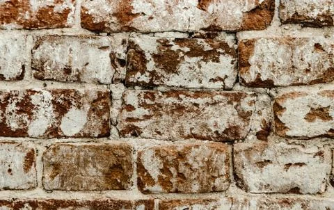 Cypress wall texture pattern red cypress blocks, close-up, old dilapidated wall. Stock Photos