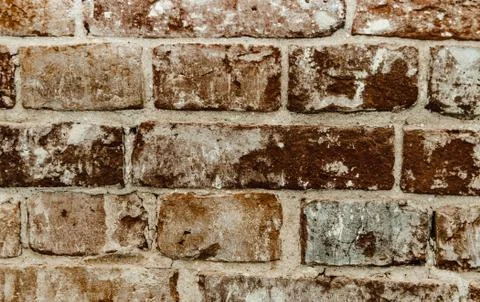 Cypress wall texture pattern red cypress blocks, close-up, old dilapidated wall. Stock Photos