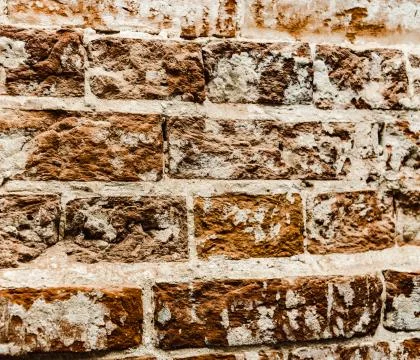 Cypress wall texture pattern red cypress blocks, close-up, old dilapidated wall. Stock Photos