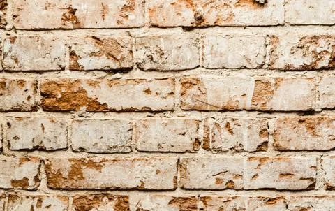 Cypress wall texture pattern red cypress blocks, close-up, old dilapidated wall. Stock Photos