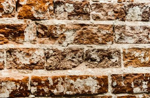Cypress wall texture pattern red cypress blocks, close-up, old dilapidated wall. Stock Photos