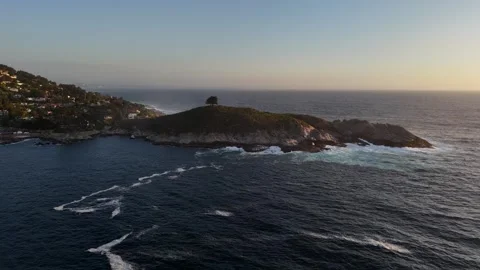 Cypress_tree_14 Stock Footage 251838813