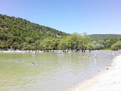 Cypresses Stock Photos