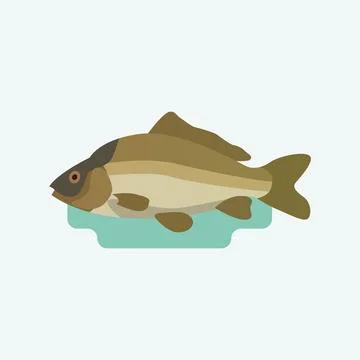 Cyprinus, carps fish. Stock Illustration