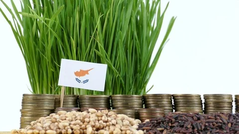 Cypriot flag with stack of money coins and piles of wheat and rice seeds Video stock 71949694