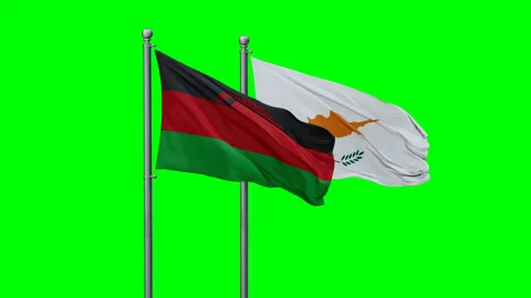 Cyprus and Malawi flags 스톡 동영상 295178584