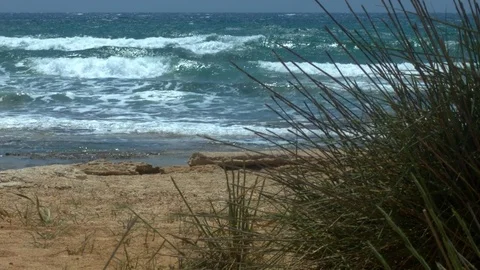 Cyprus, beach, bush. Stockbeeldmateriaal 75933297