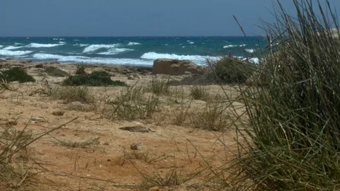 Cyprus, beach, bush, rocks. Stockbeeldmateriaal 75932889