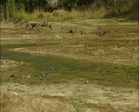 Cyprus drought - mud and dry banks at a dam in Cyprus 16:9 PAL Stock-Footage 21279141