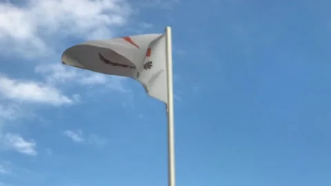 Cyprus Flag Waving Against Blue Sky and Clouds. Slow Motion Stock Footage 101227486