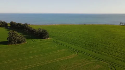 Cyprus green fields. Sea and waves. Fly over beautiful views near Larnaca. Stock Footage 167973619