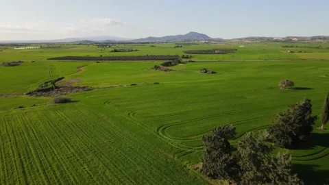 Cyprus green fields. Sea and waves. Fly over beautiful views near Larnaca. Stock Footage 167973628