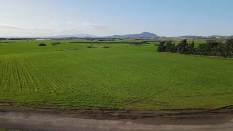 Cyprus green fields. Sea and waves. Fly over beautiful views near Larnaca. Stock Footage 167973795