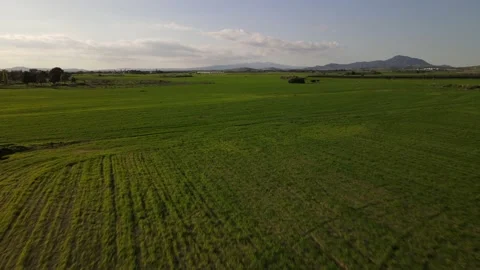 Cyprus green fields. Sea and waves. Fly over beautiful views near Larnaca. Stock Footage 167973813