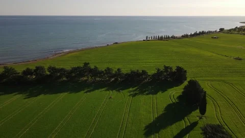Cyprus green fields. Sea and waves. Fly over beautiful views near Larnaca. Stock Footage 167973860