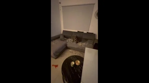 Cyprus: Guilty-looking dog after sofa destruction in Nicosia, Cyprus Stock Footage 326019372