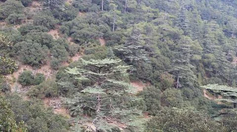 Cyprus mountain Stock Photos