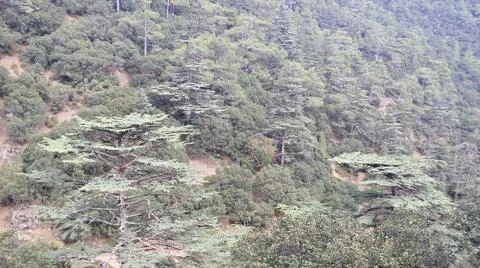 Cyprus mountain Stock Photos