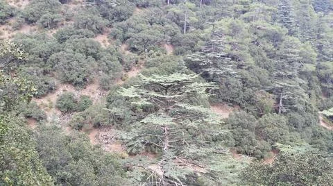 Cyprus mountain Stock Photos