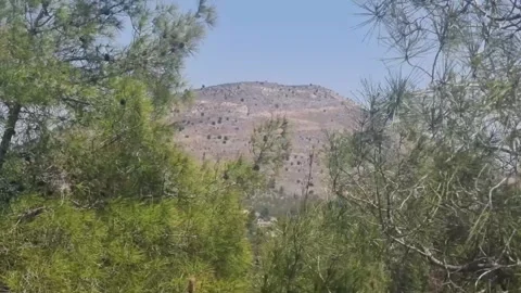 Cyprus Mountain View through Pine Trees Stock Footage 318511719