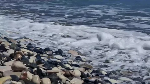 Cyprus. A rocky beach is washed by waves. Stock Footage 311573767