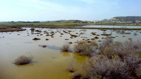 Cyprus swamp lake in spring. Video stock 175269266