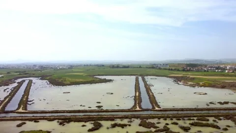 Cyprus swamp lake in spring. Video stock 175269665