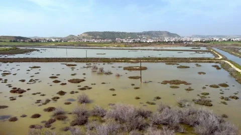 Cyprus swamp lake in spring. Video stock 175269944