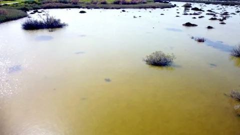 Cyprus swamp lake in spring. Video stock 175270911