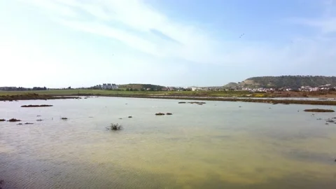 Cyprus swamp lake in spring. Video stock 175271912