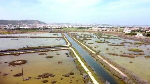 Cyprus swamp lake in spring. Stock Footage 175272441