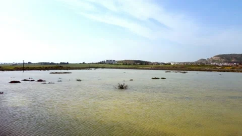 Cyprus swamp lake in spring. Video stock 175272497