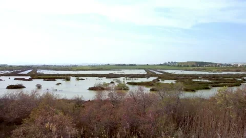 Cyprus swamp lake in spring. Video stock 175273028