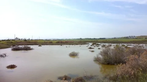 Cyprus swamp lake in spring. Video stock 175274589