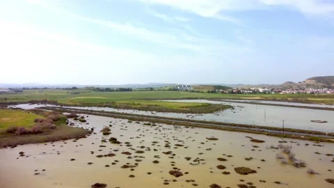 Cyprus swamp lake in spring. Stock Footage 175275294