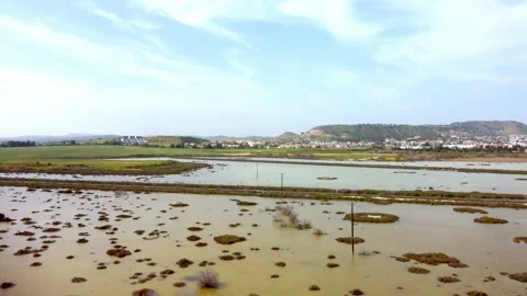 Cyprus swamp lake in spring. Video stock 175276055