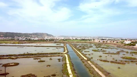Cyprus swamp lake in spring. Stock Footage 175276316