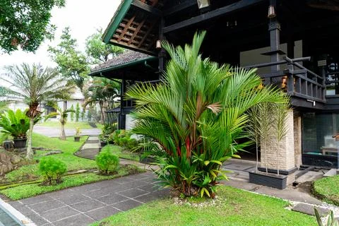 Cyrtostachys renda Stock Photos