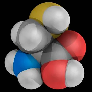 Cysteine molecule Stock Illustration