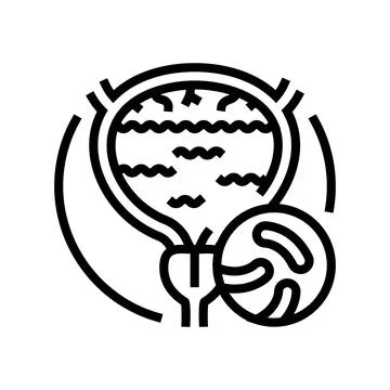 Cystitis urology line icon vector illustration Stock Illustration