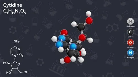 Cytidine. Nucleoside. Dark background. 3D rendering 스톡 동영상 289554569