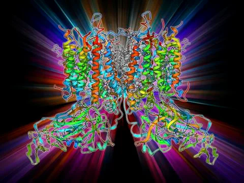Cytochrome b6f complex, molecular model Stock Illustration
