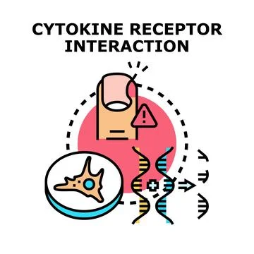 Cytokine receptor interaction triggering cellular regulation process Stock Illustration