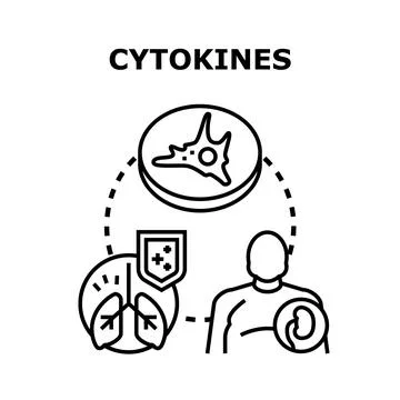 Cytokines regulating human immune system response concept Stock Illustration