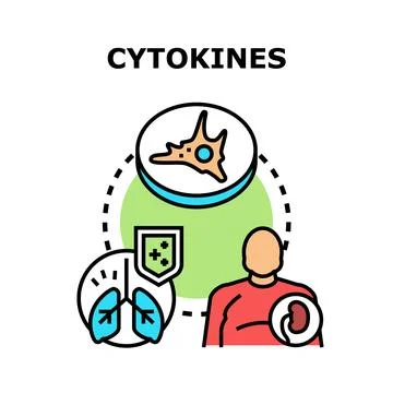 Cytokines regulating human immune system response concept Stock Illustration