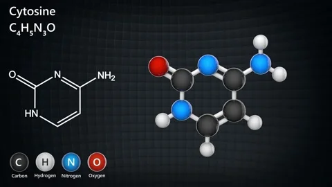 Cytosine. C4H5N3O. Seamless loop. Stock Footage 154399097