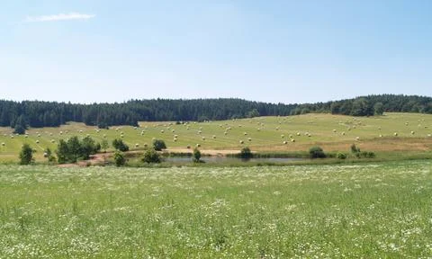 Czech Canada Foto stock