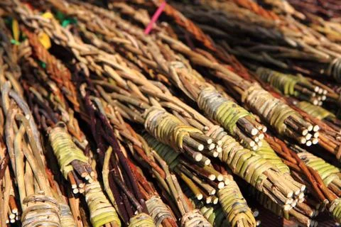 Czech easter rods background 写真素材